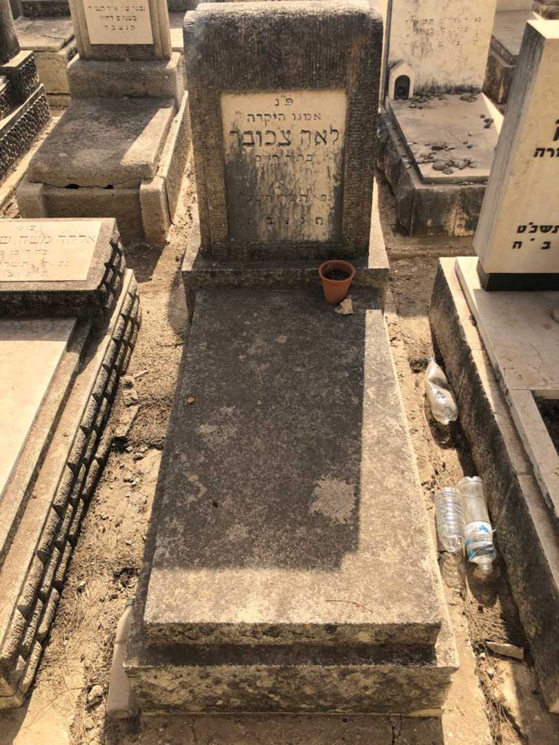 קברו של לאה צ'כובר