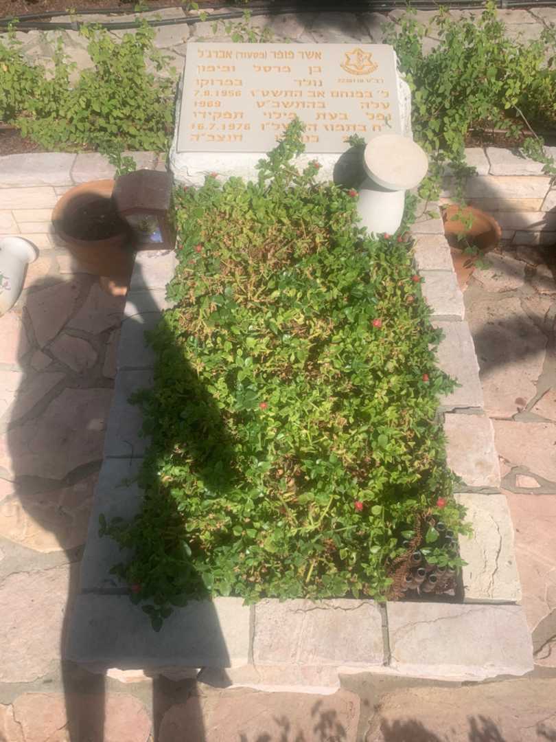 קברו של אשר פופר "מסעוד" אברג'ל