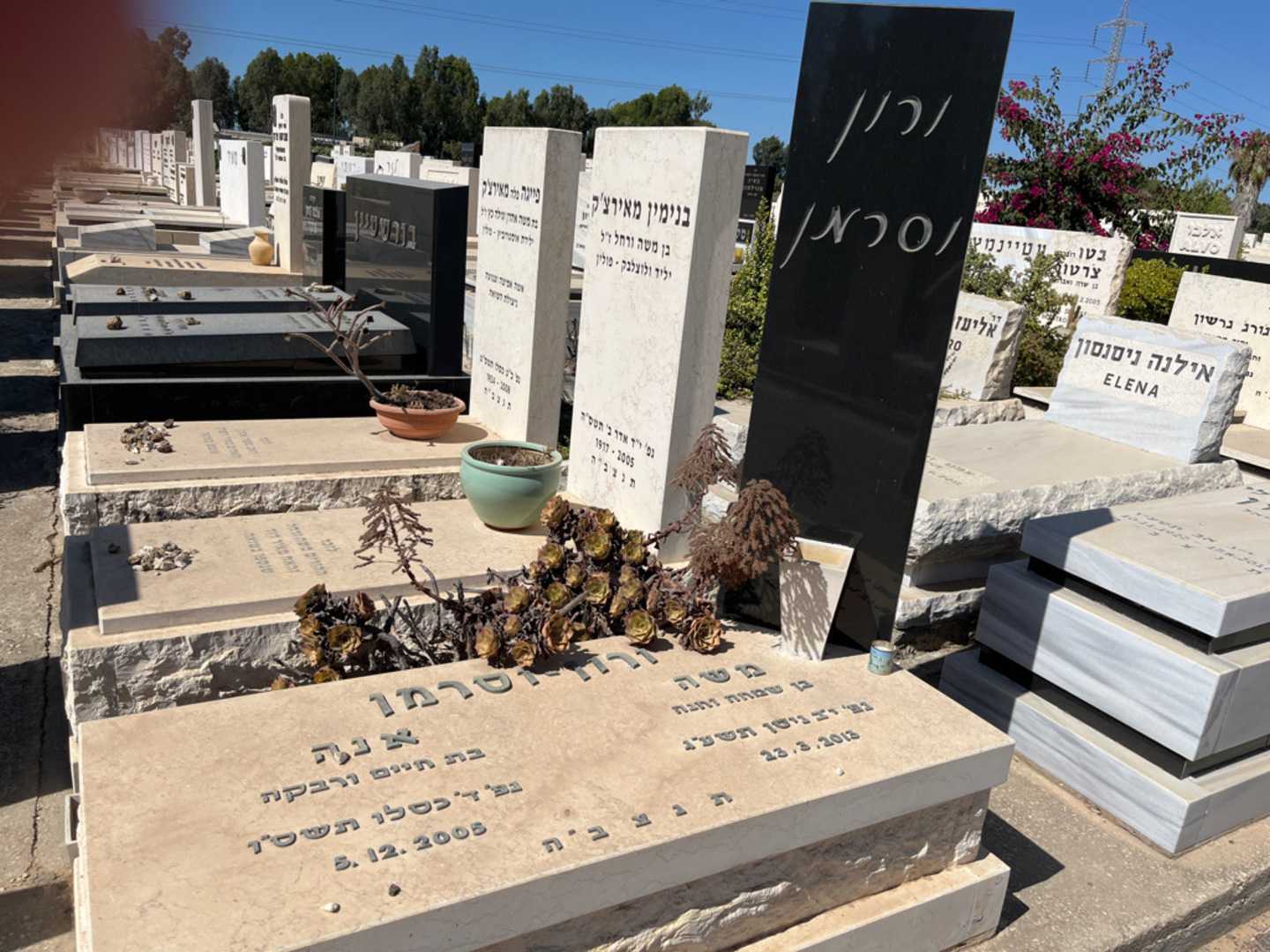 קברו של אנה ורון-וסרמן. תמונה 1