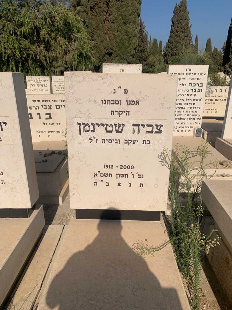 קברו של צביה שטיינמן