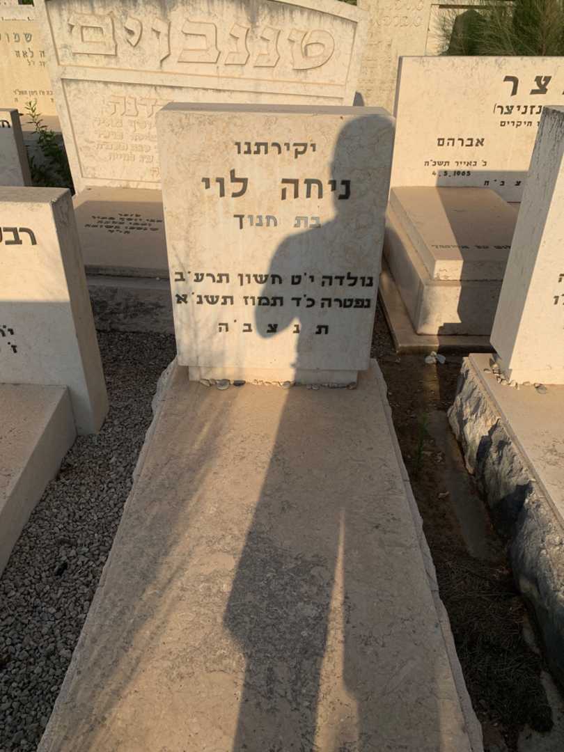 קברו של ניחה לוי