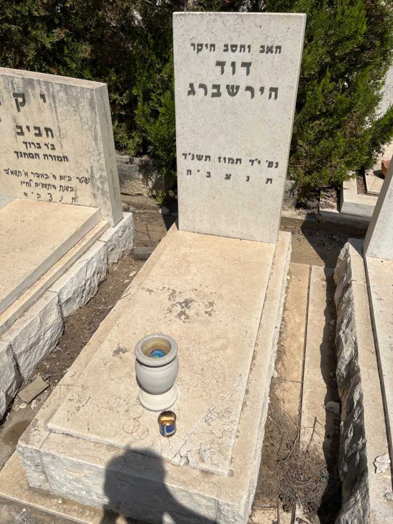 קברו של דוד הירשברג. תמונה 2