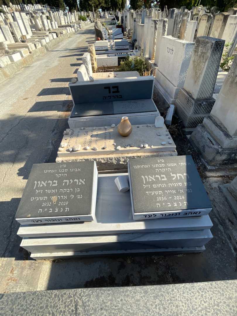 קברו של אריה בראון