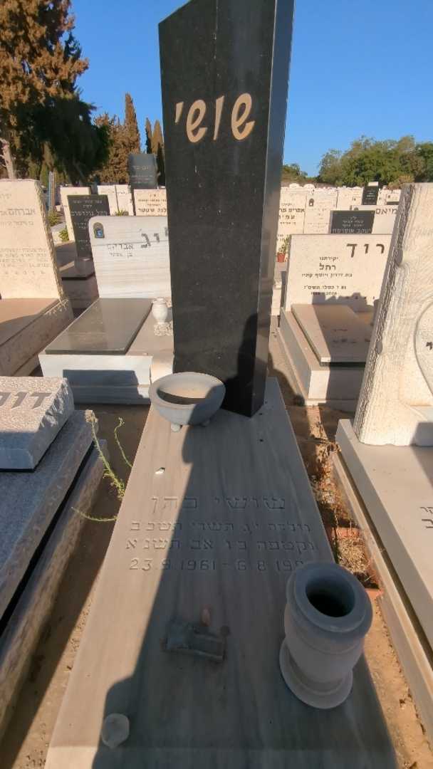 קברו של שושי כהן. תמונה 1