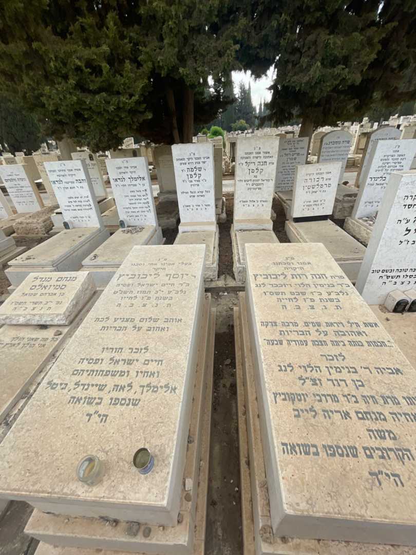 קברו של חנה רות ליבוביץ. תמונה 1