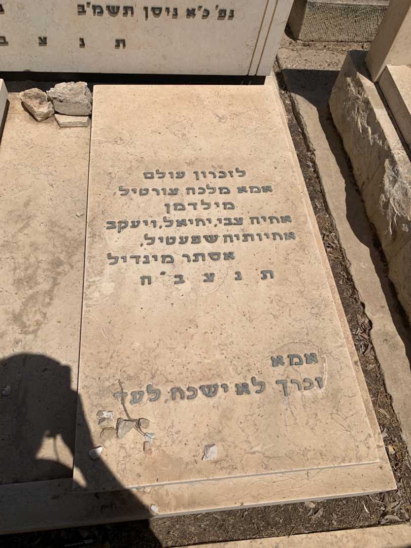 קברו של חנה (רויזה) מרגלית. תמונה 2