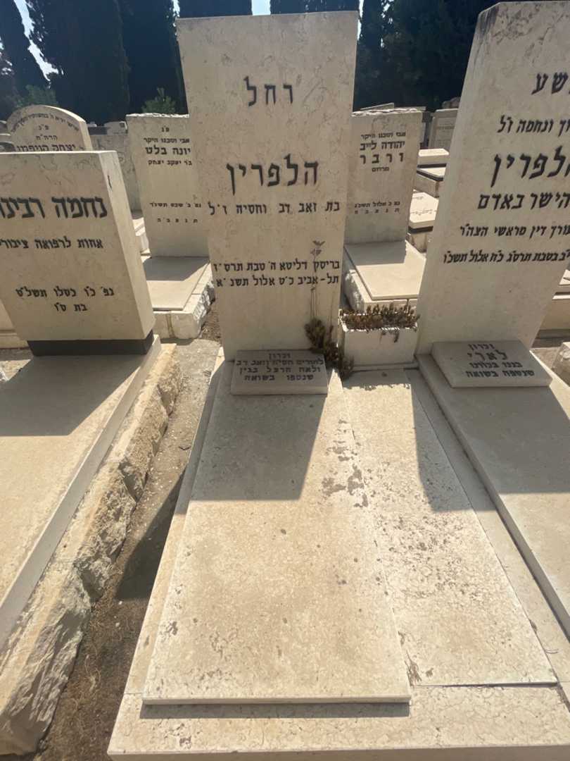 קברו של רחל הלפרין. תמונה 2