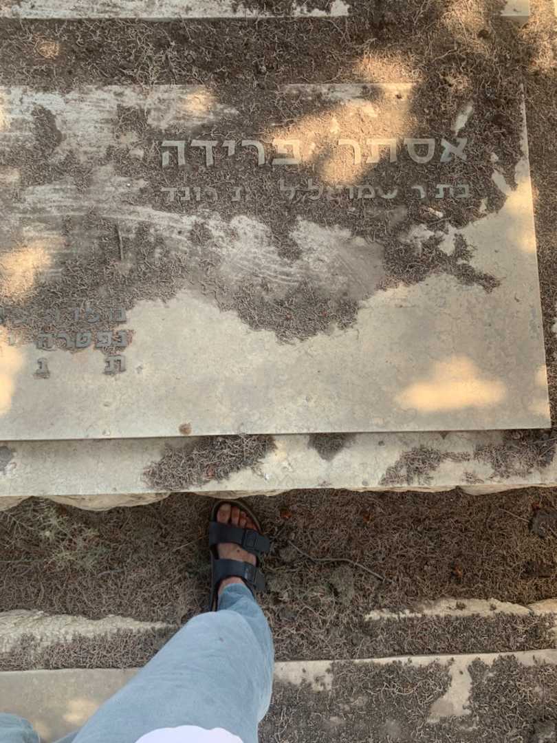 קברו של אסתר פרידה וולמן. תמונה 1