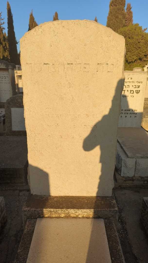 קברו של טה פרדהנדלר