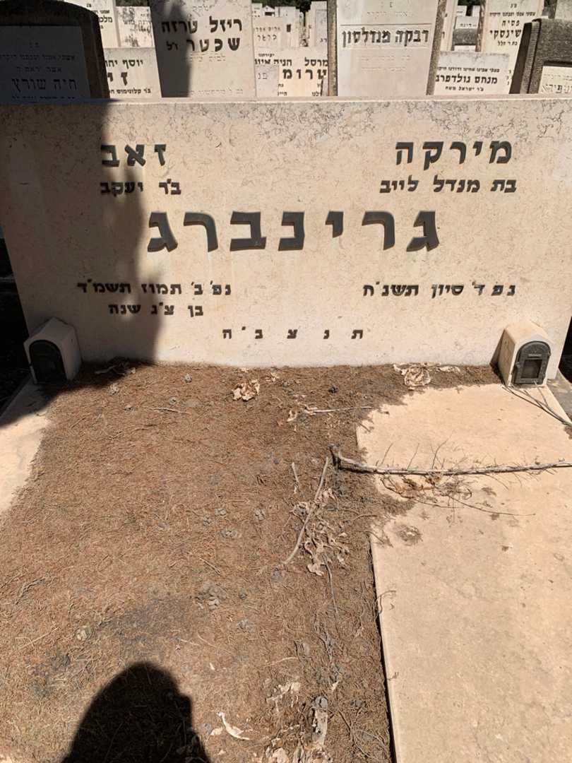 קברו של זאב גרינברג. תמונה 1