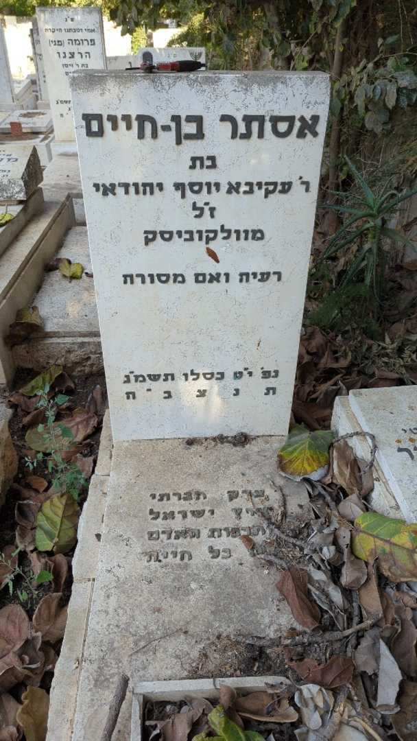 קברו של אסתר בן-חיים