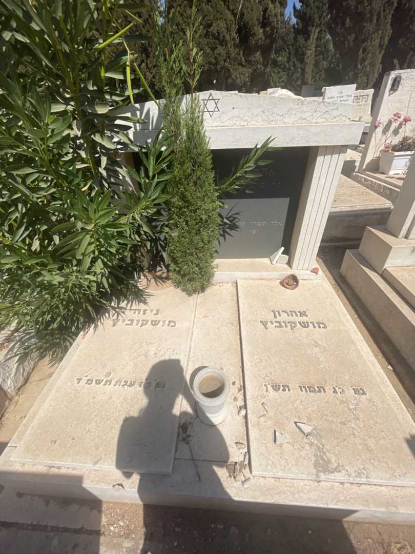 קברו של אהרון מושקוביץ. תמונה 1