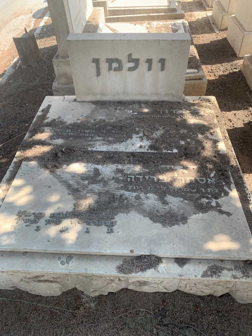 קברו של אסתר פרידה וולמן. תמונה 2