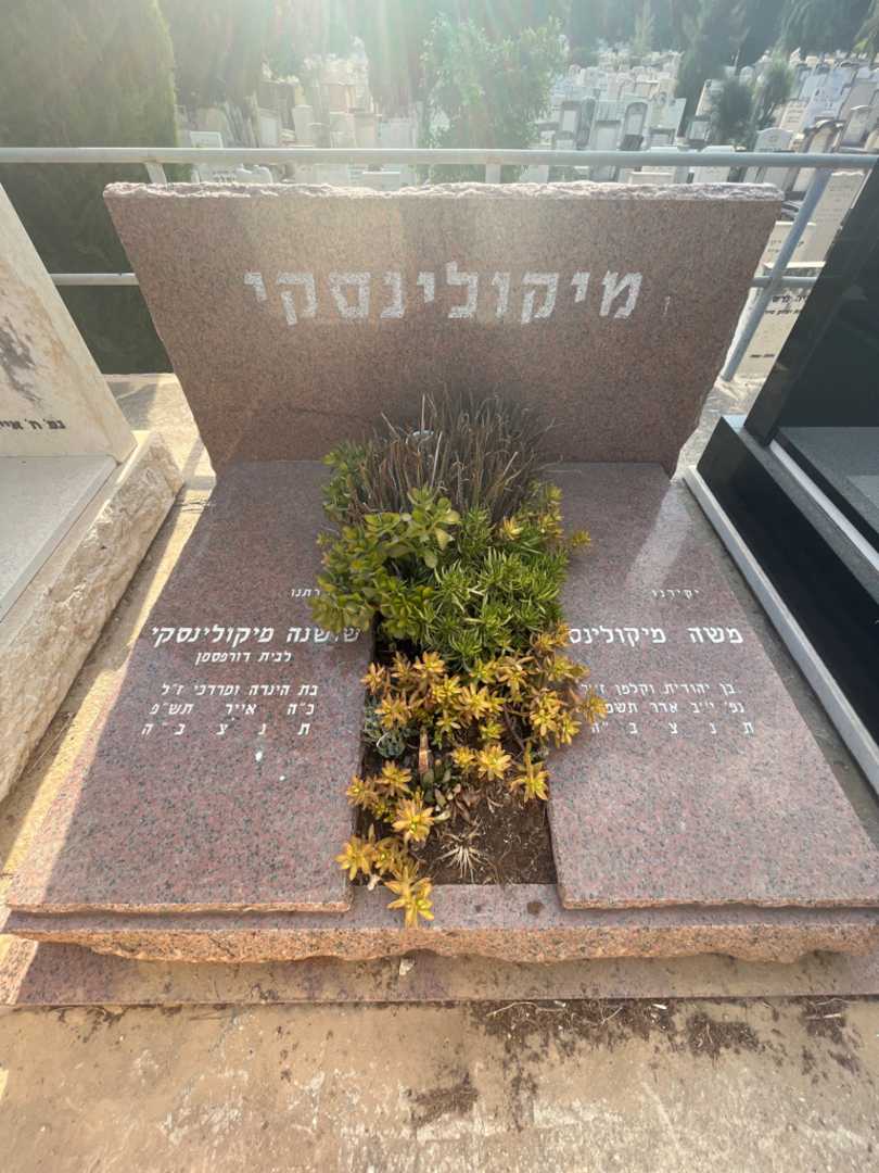 קברו של משה מיקולינסקי. תמונה 1