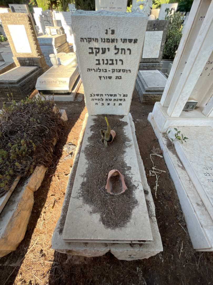 קברו של רחל יעקב רובנוב