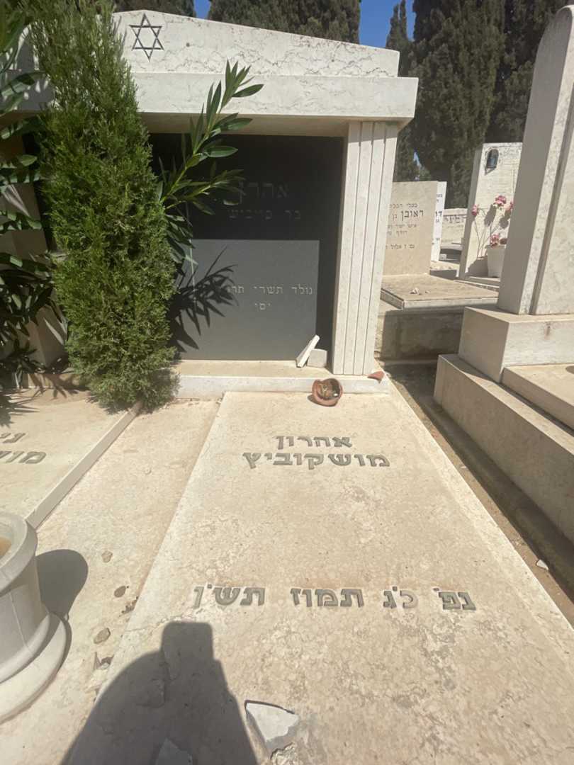 קברו של אהרון מושקוביץ. תמונה 2