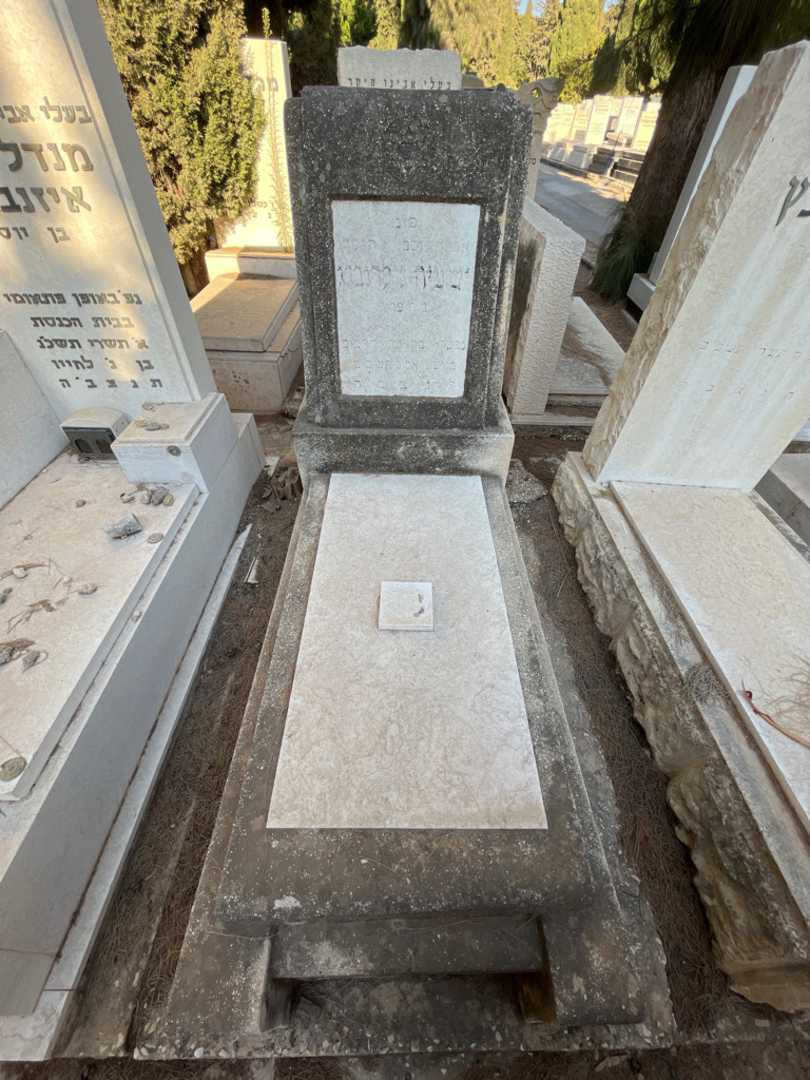 קברו של ישעיהו גולדנברג