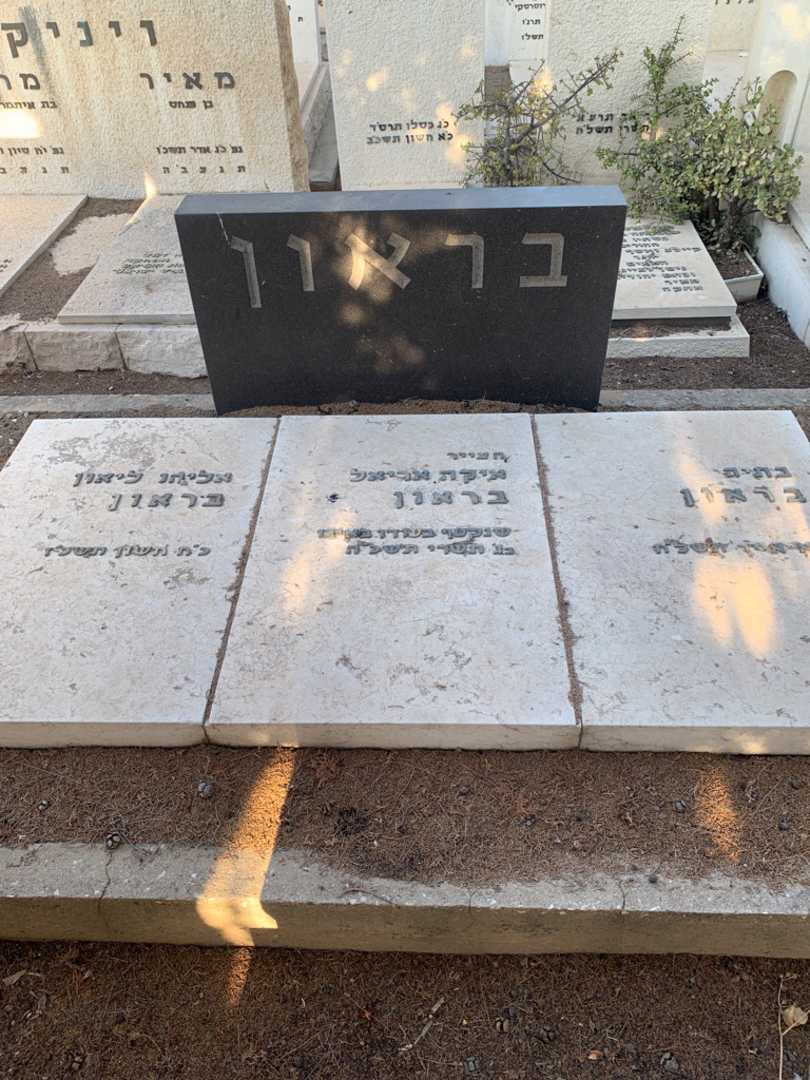 קברו של אליהו ליאון בראון. תמונה 1