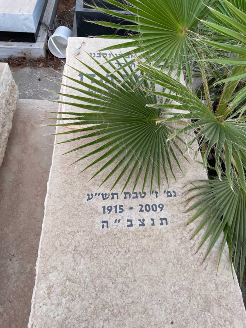 קברו של שלמה פנדו. תמונה 2