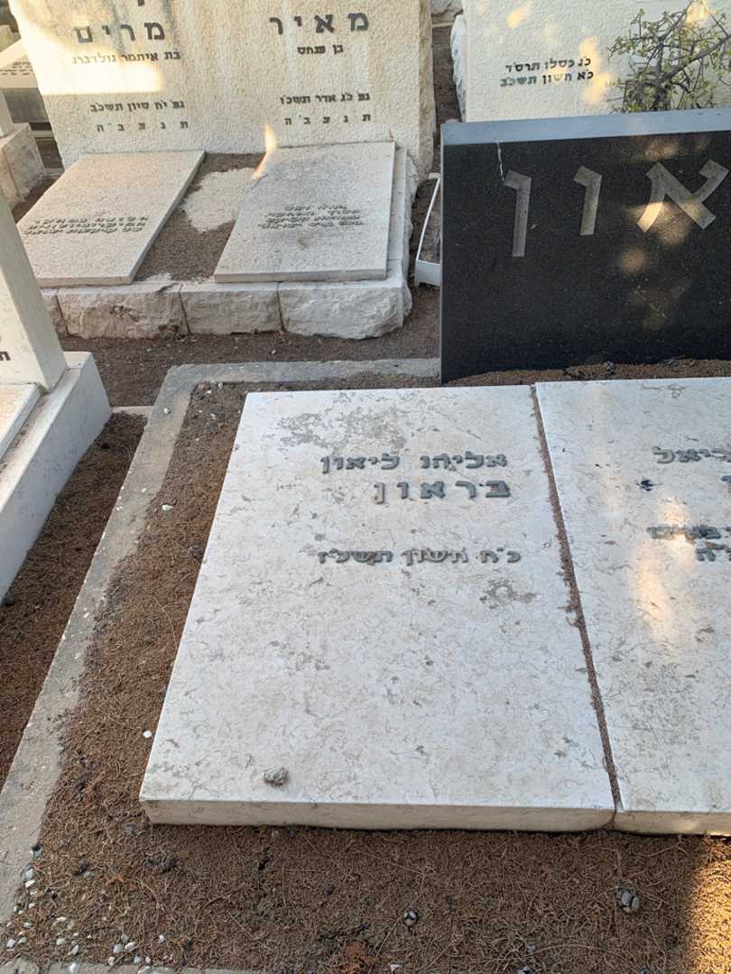 קברו של אליהו ליאון בראון. תמונה 2