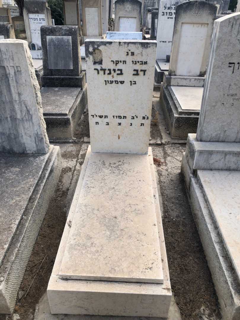 קברו של דב בינדר