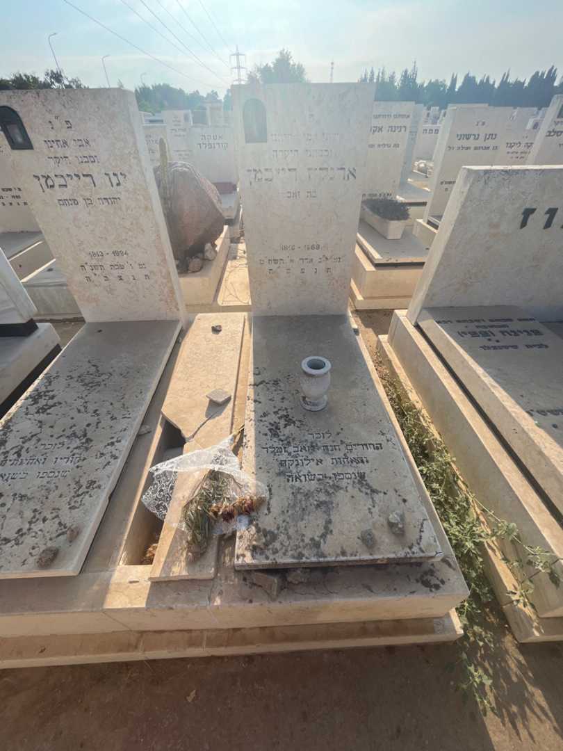 קברו של חנה זמלר. תמונה 2