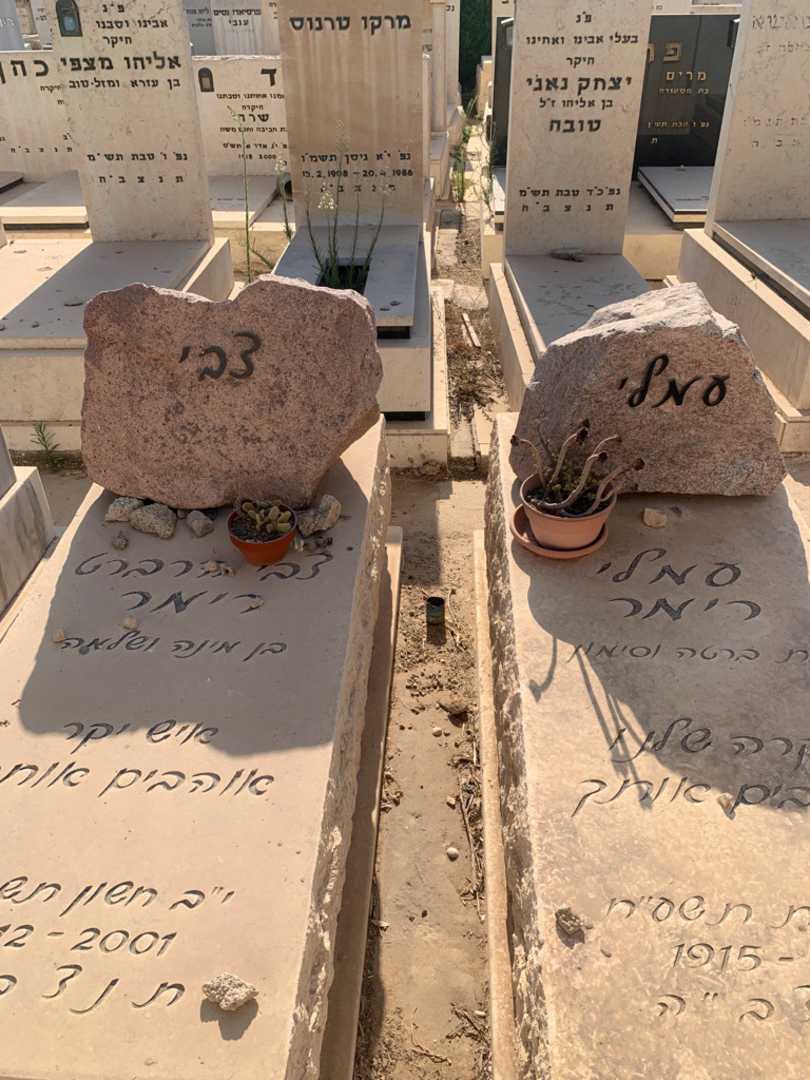 קברו של עמלי רימר. תמונה 1