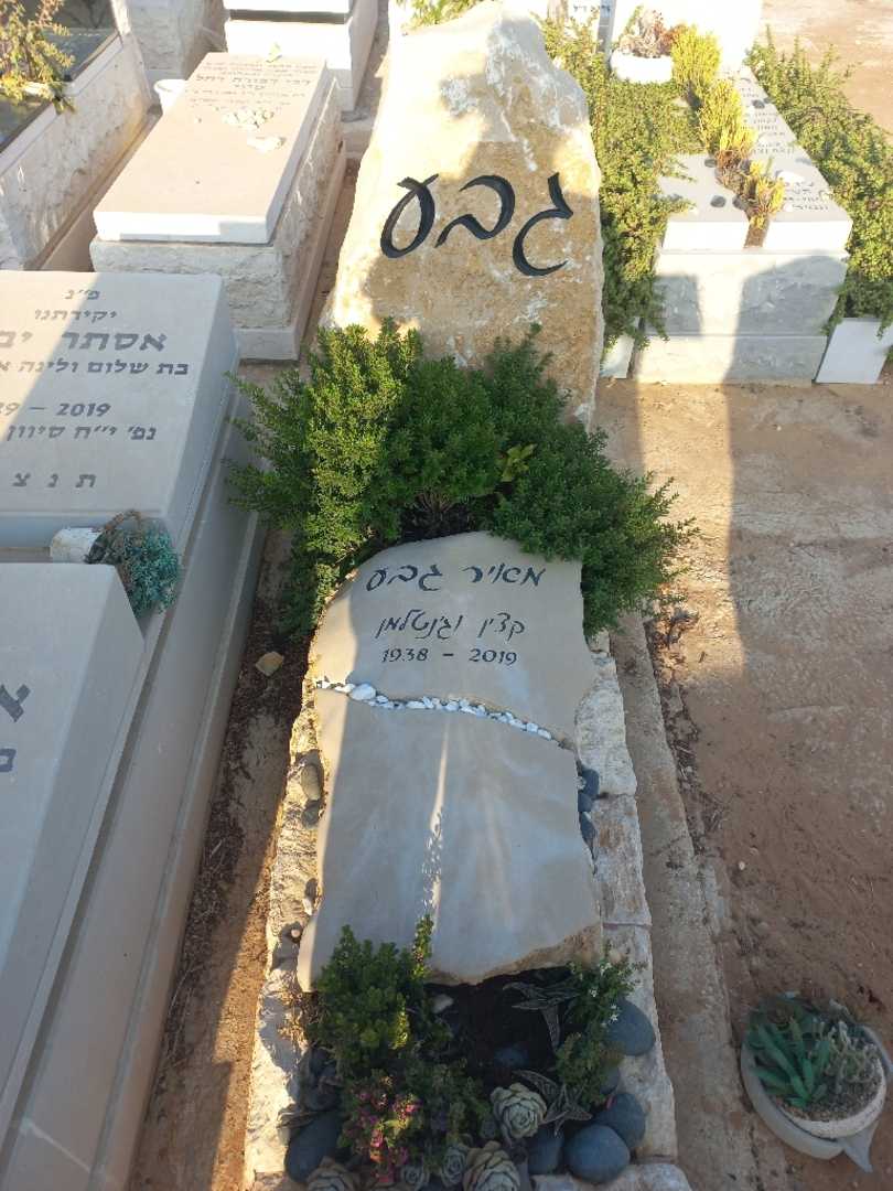 קברו של מאיר גבע