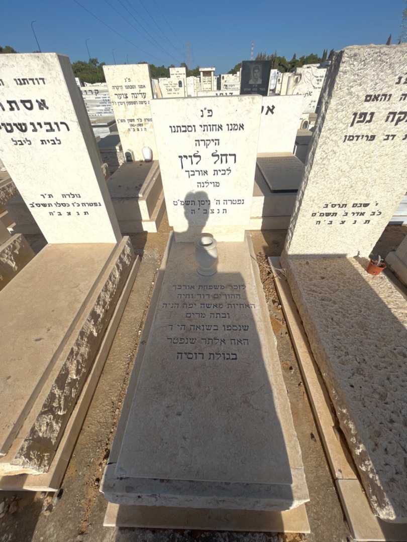 קברו של דוד אורבך