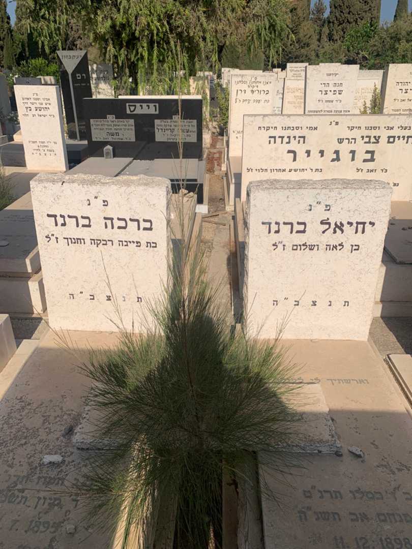 קברו של יחיאל ברנד. תמונה 1