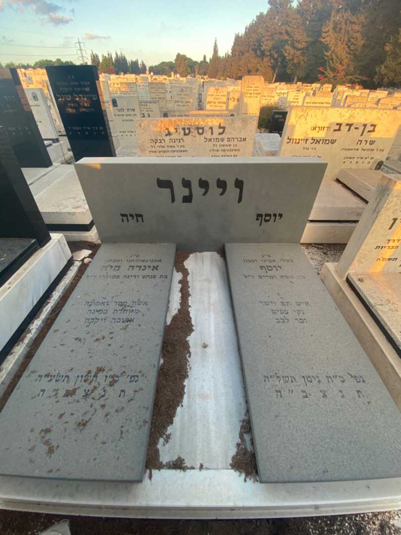 קברו של אירנה חיה ויינר. תמונה 1
