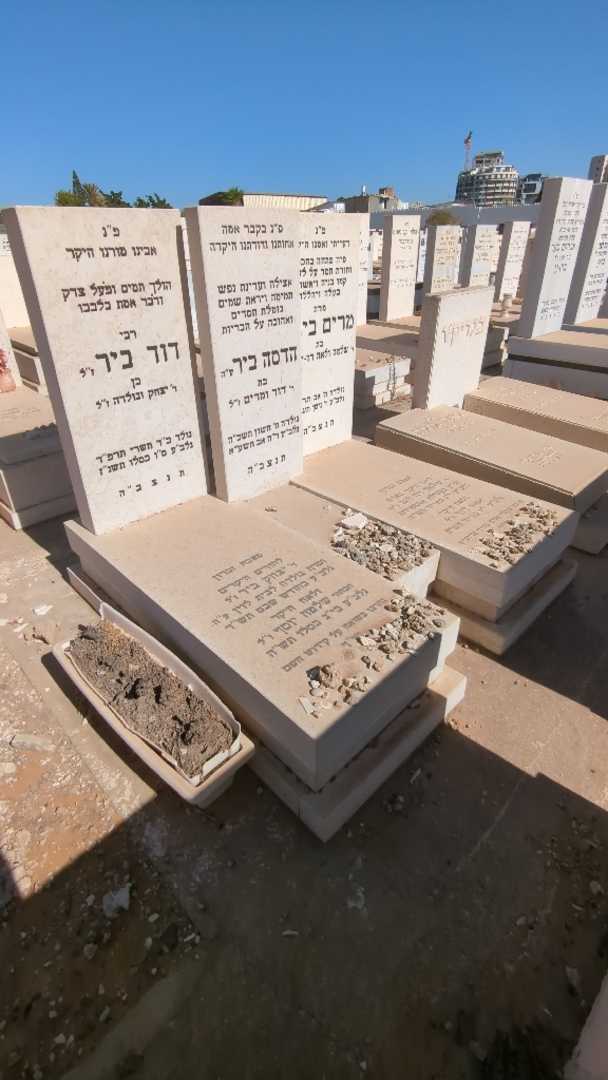 קברו של הדסה ביר. תמונה 1