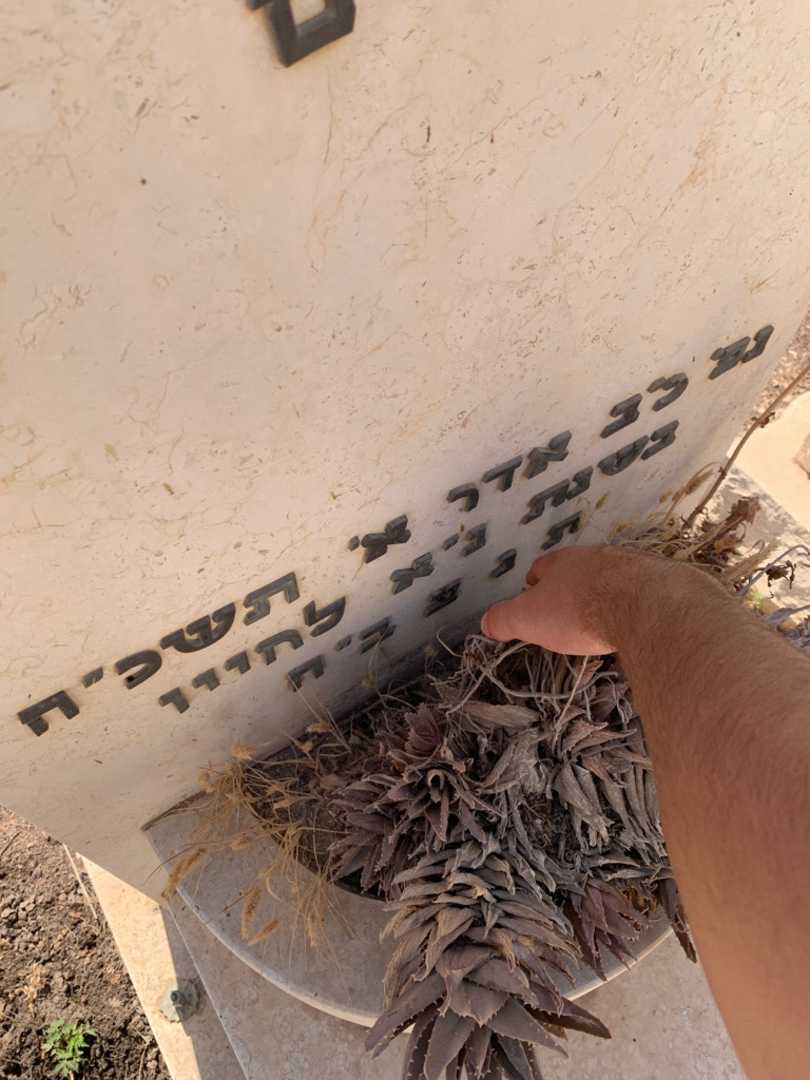 קברו של יעקב סיביליה. תמונה 3