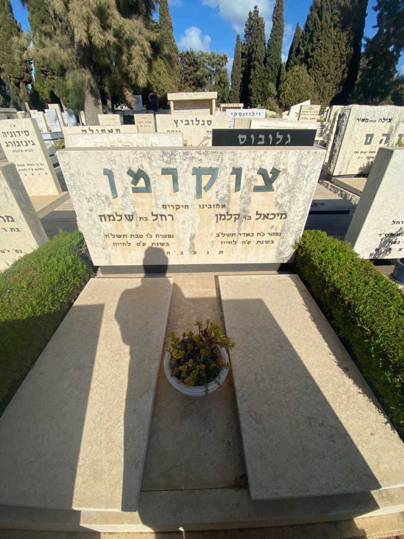 קברו של מיכאל צוקרמן. תמונה 2