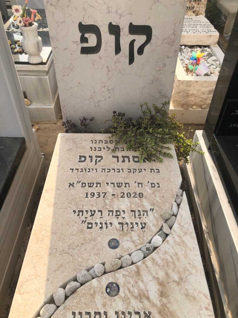 קברו של יעקב קופ. תמונה 1