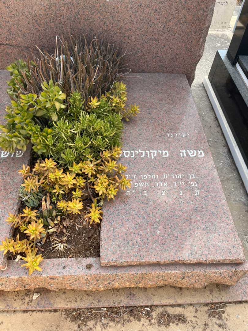 קברו של משה מיקולינסקי. תמונה 2