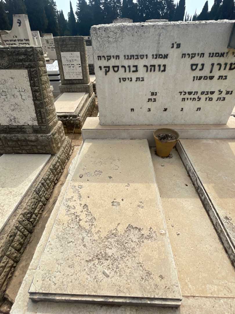 קברו של גוהר בורסקי. תמונה 2