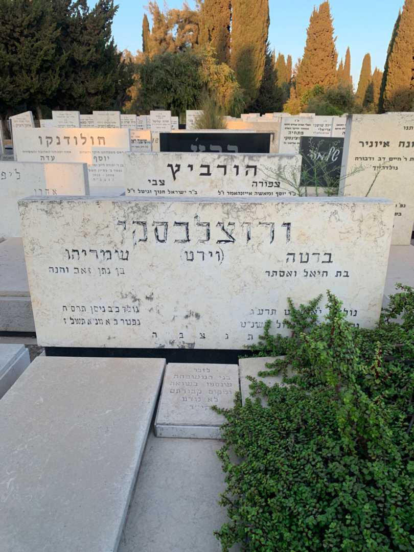 קברו של שמריהו "וירט" ורוצלבסקי. תמונה 1