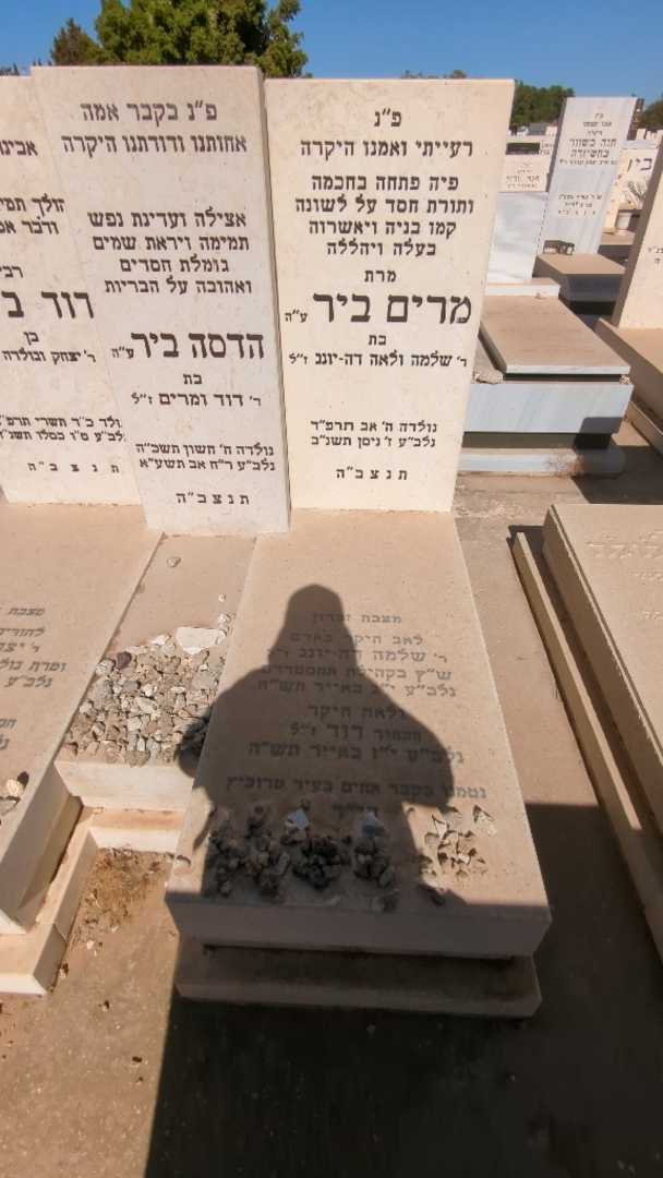 קברו של הדסה ביר. תמונה 2