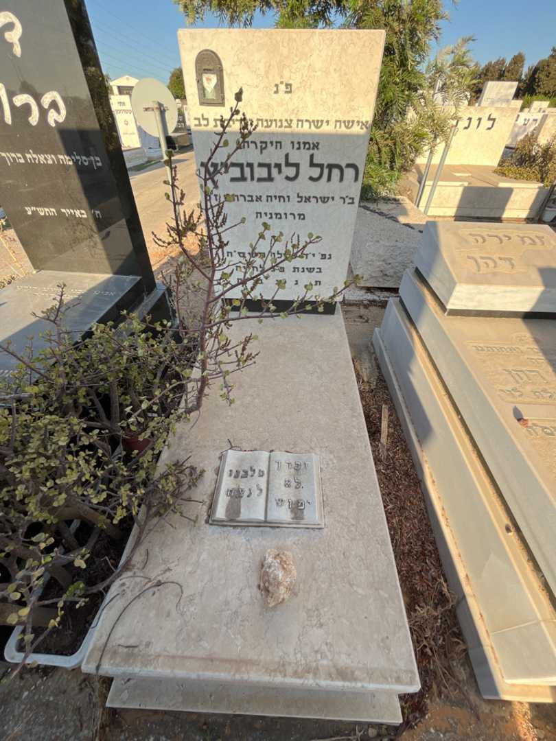 קברו של רחל ליבוביץ