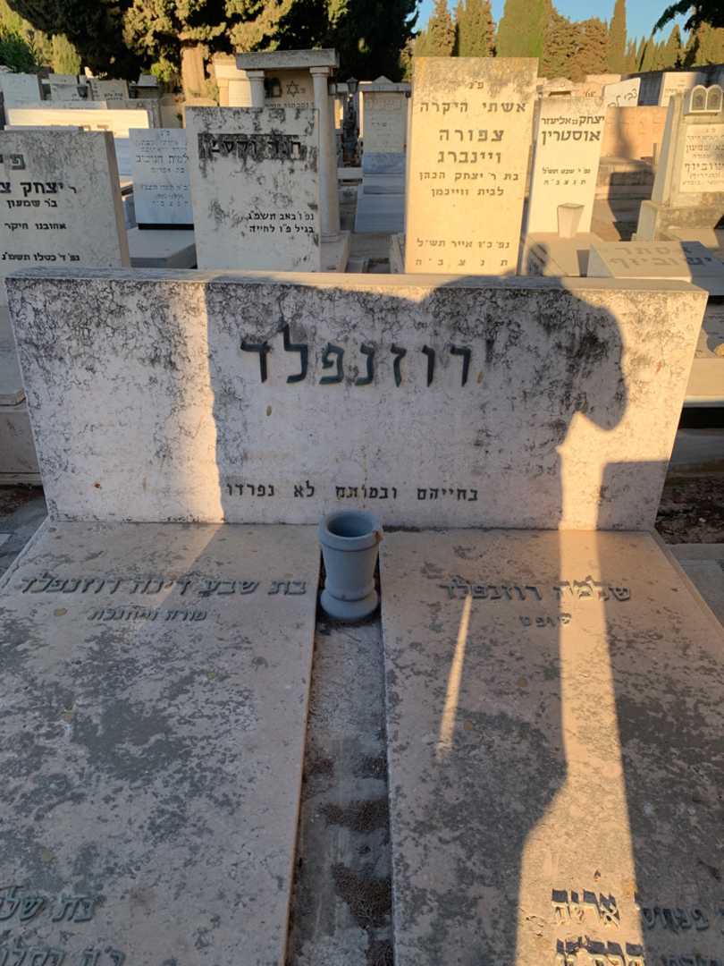 קברו של בת שבע דינה רוזנפלד. תמונה 1