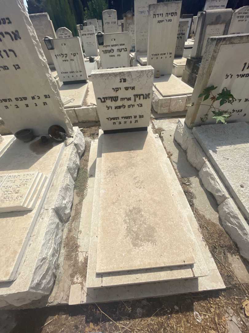 קברו של אחין "אריה" שוייגר