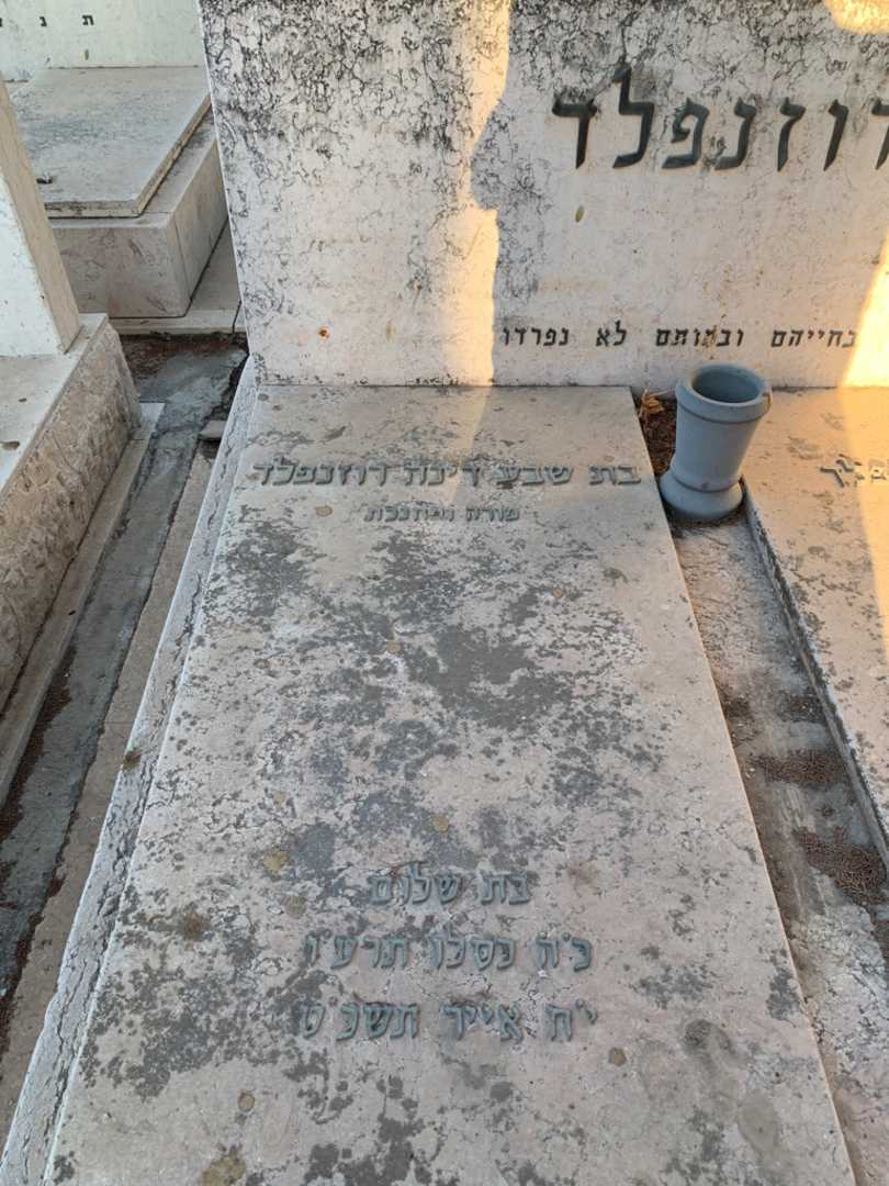 קברו של בת שבע דינה רוזנפלד. תמונה 2