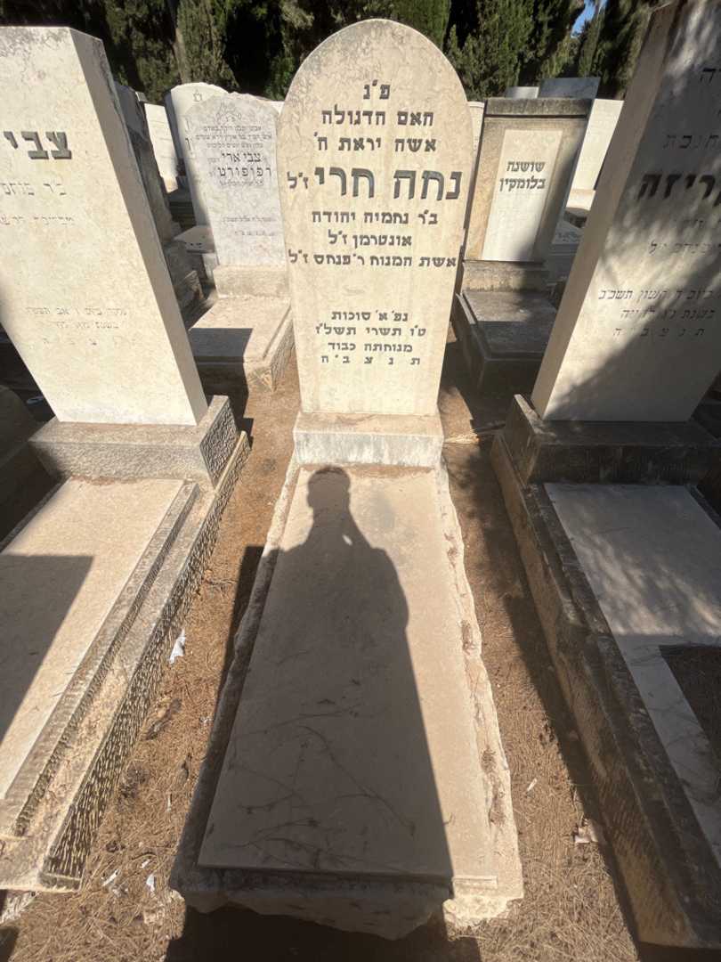 קברו של נחה חרי