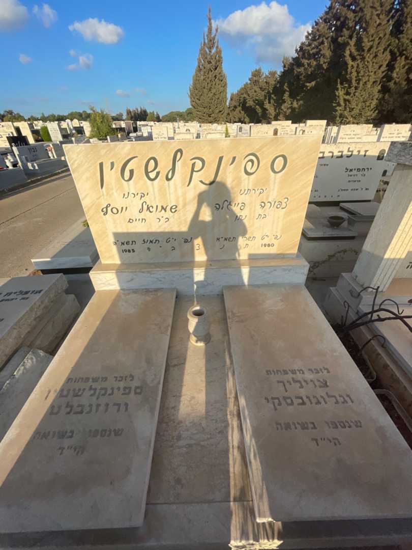 קברו של צפורה פייגלה ספינקלשטין. תמונה 1