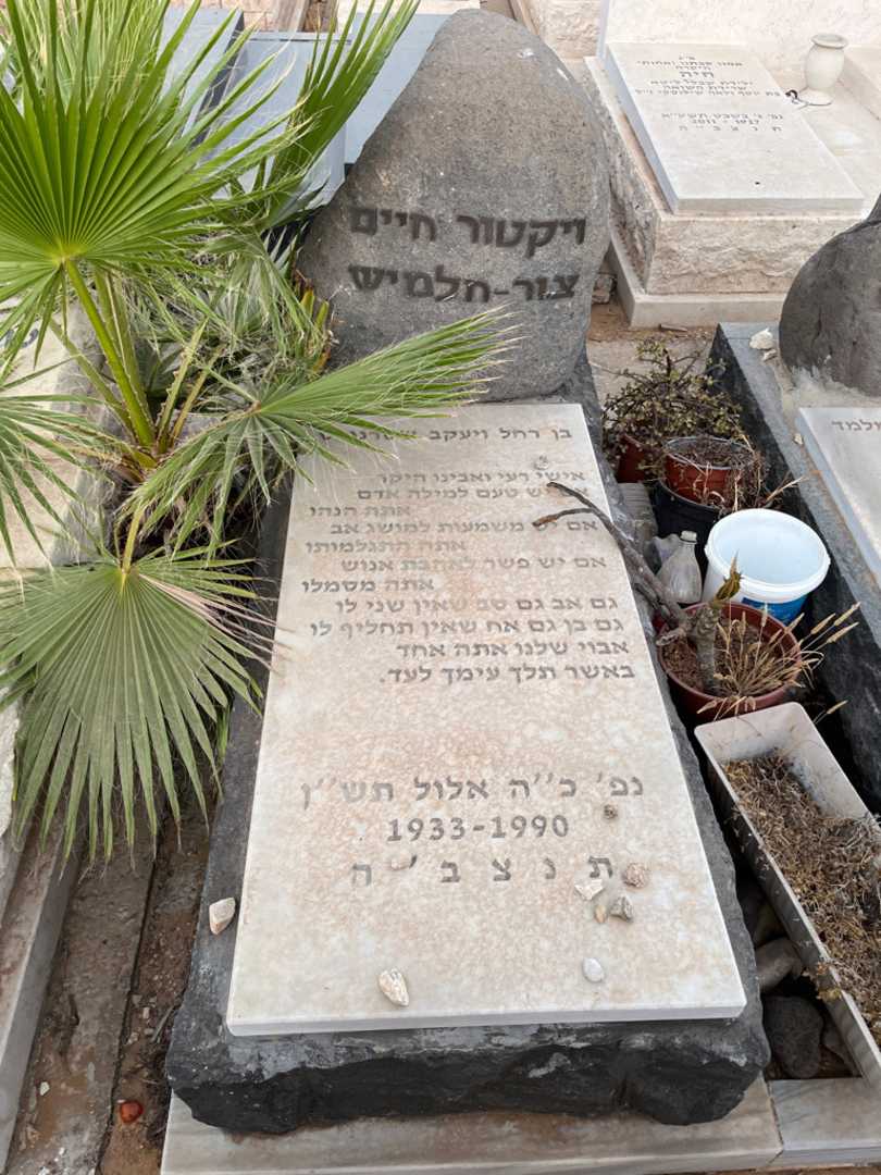 קברו של ויקטור חיים צור - חלמיש. תמונה 1