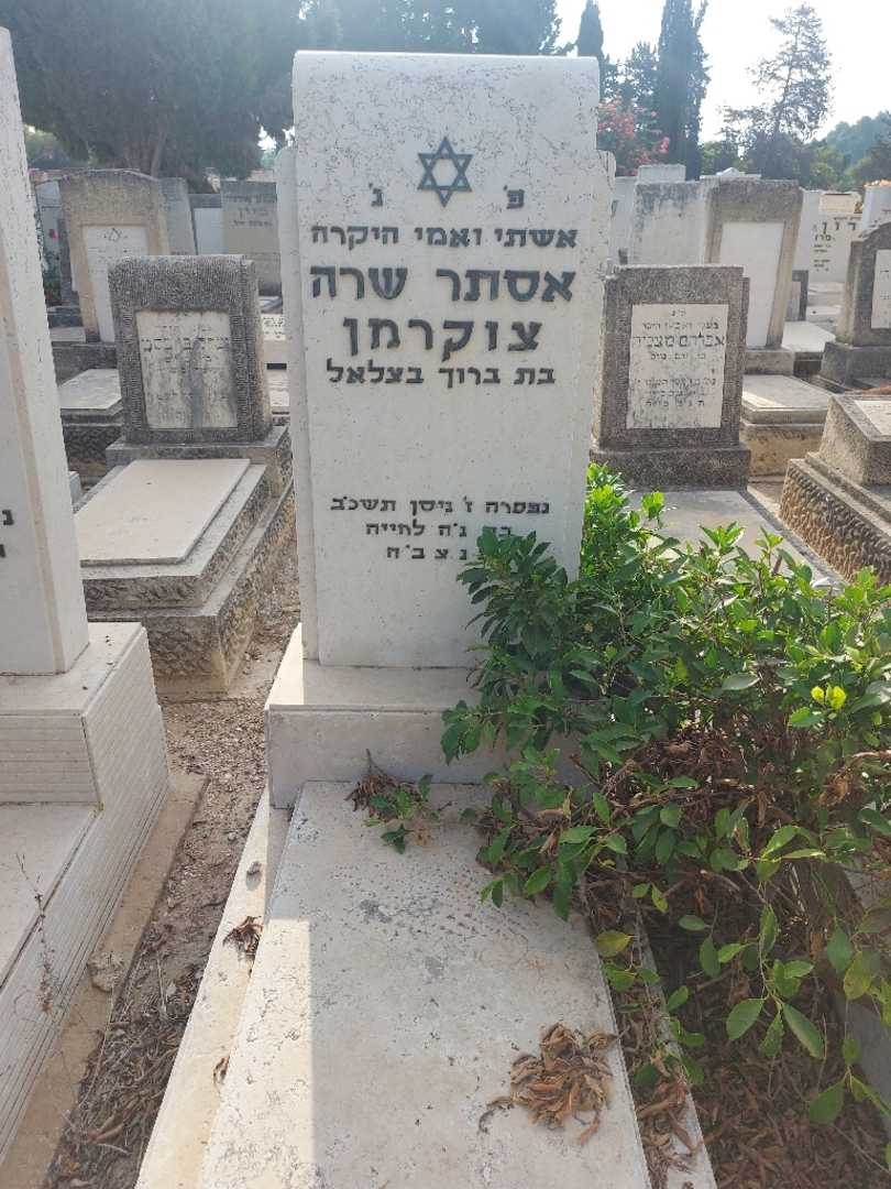 קברו של אסתר שרה צוקרמן
