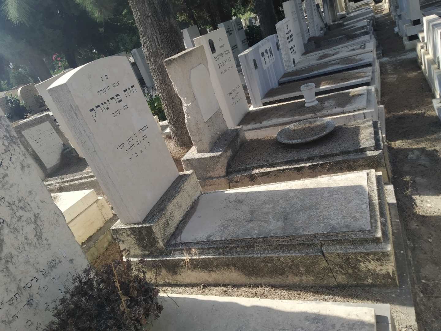 קברו של חיה פרימרק