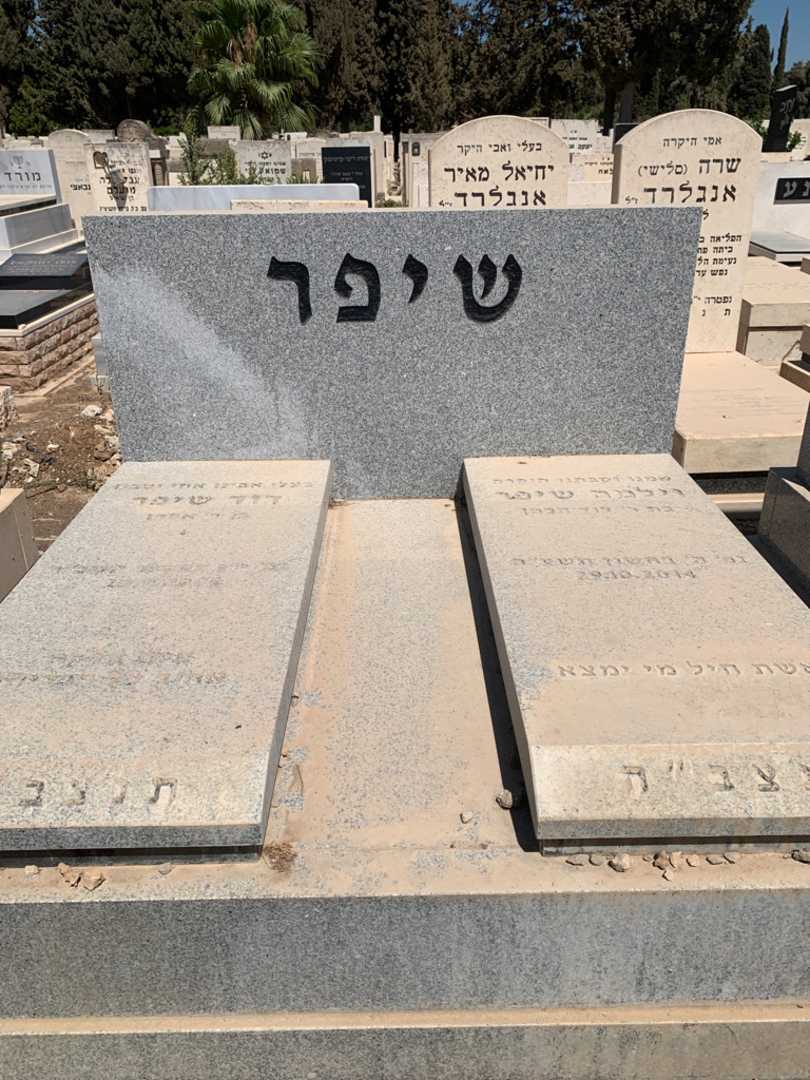 קברו של דוד שיפר. תמונה 1