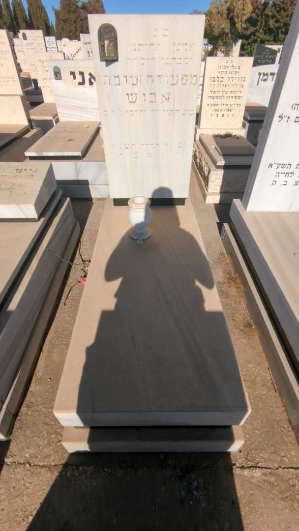 קברו של מסעודה "טובה" אבוש